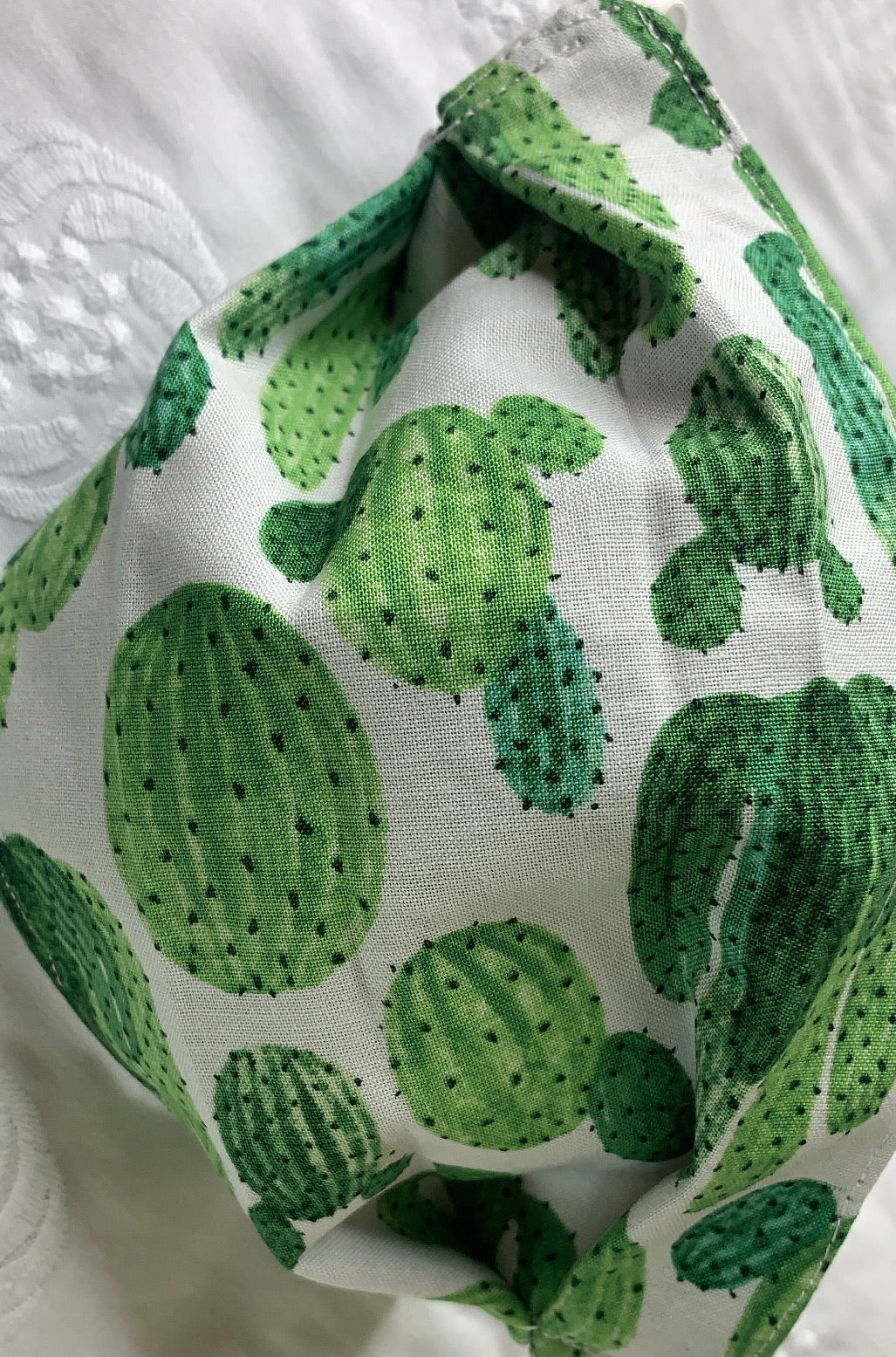 cactus mask Cactus face mask – Rosamond's Beauty Palace